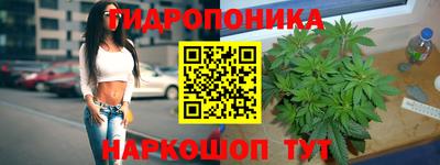 ешки Будённовск